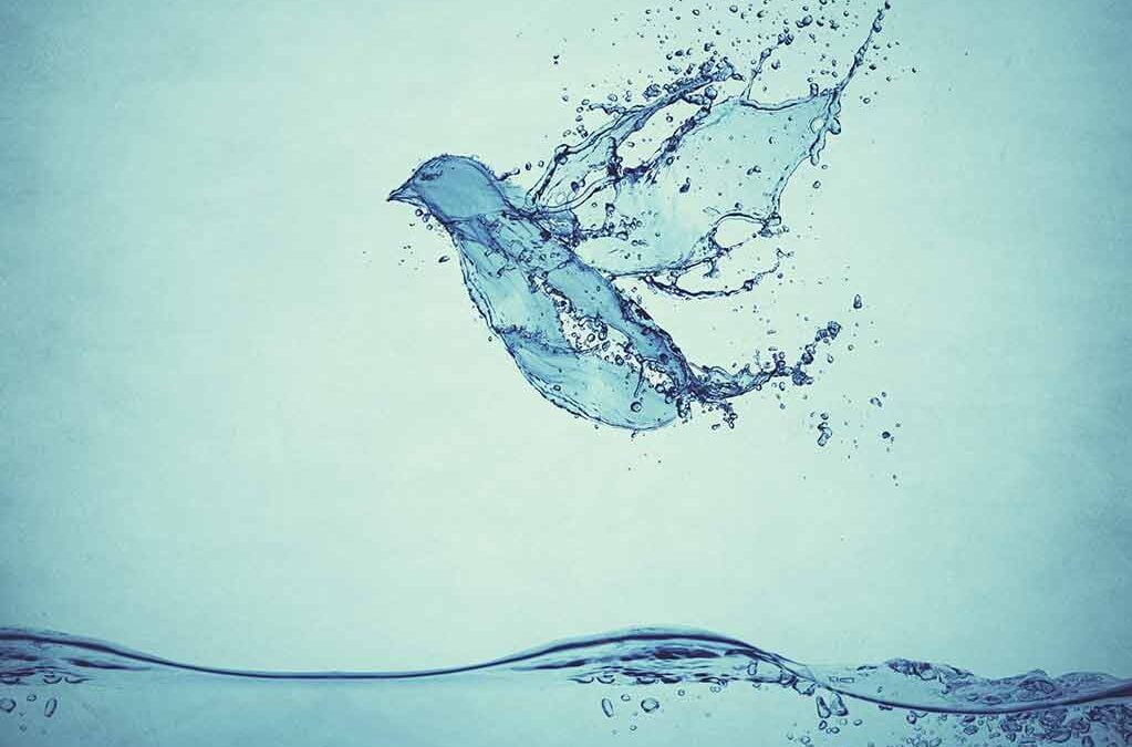 The Holy Spirit