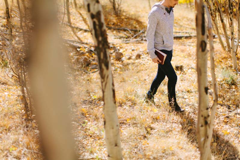 Where is God leading us?