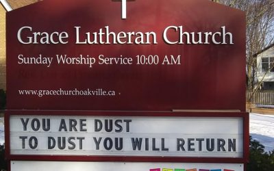 You are dust