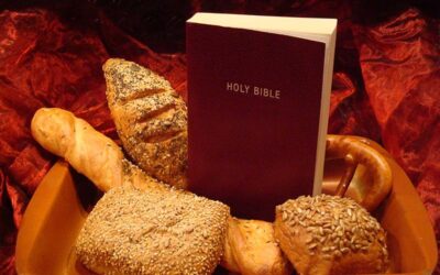 A Journey in Faith – The Bible in One Year