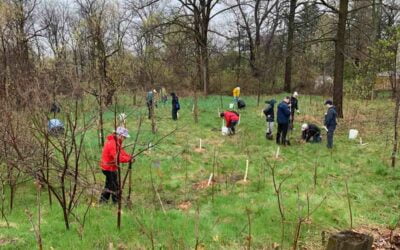 Tree planting on Earth Day, April 22, 2023